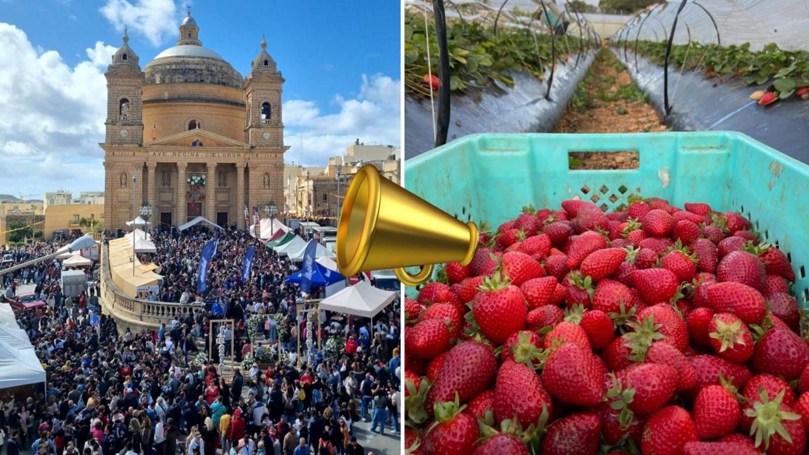 Malta Aktiviteleri: 2026 Güncel Rehber ve Yapılacak En İyi Şeyler